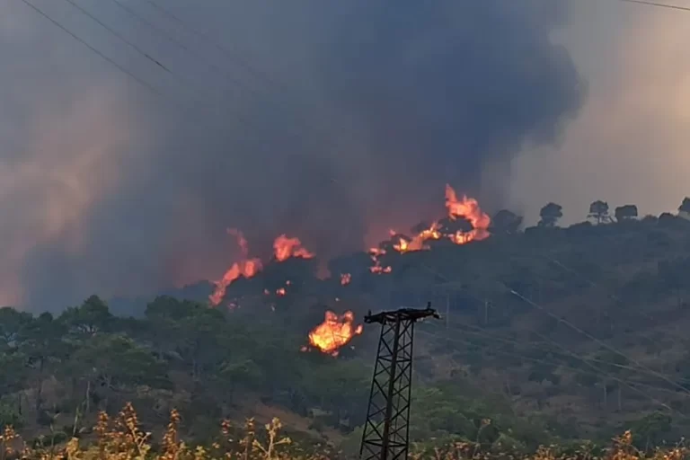 تجدد الحرائق بريف حماة و25 فريقا يشاركون في الإطفاء بالساحل السوري