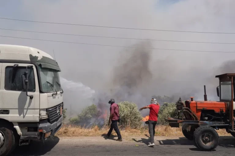 سوريا تعلن السيطرة على حرائق الغابات بريفي اللاذقية وحماة