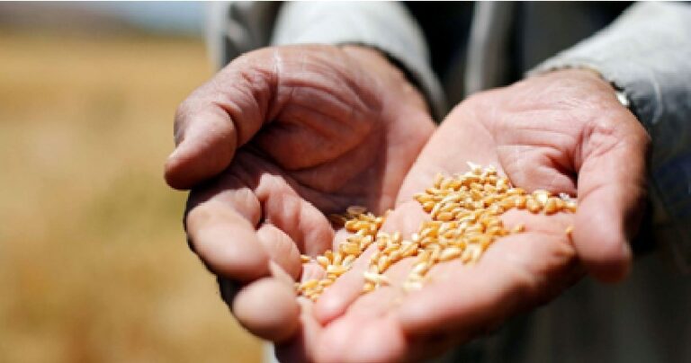 الكنز الذي يتصارع عليه العالم في سوريا