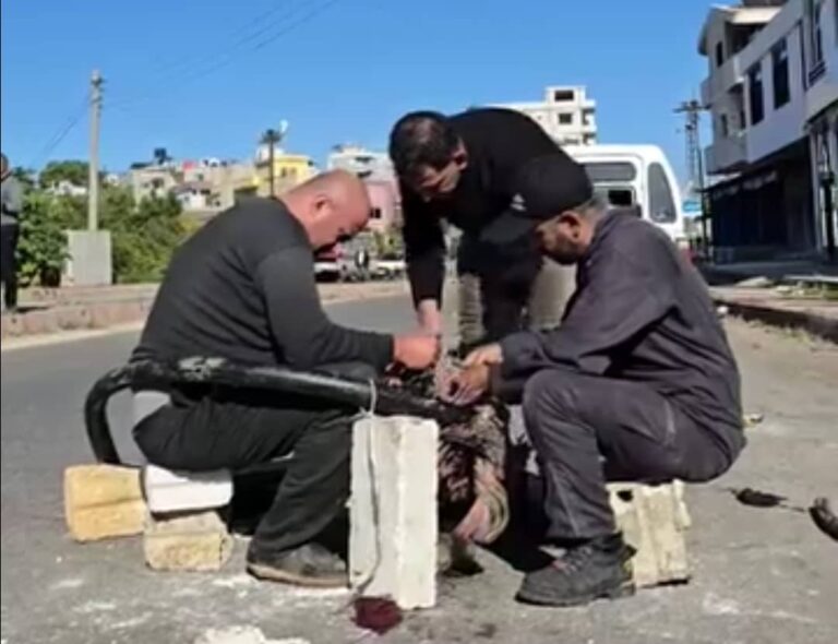 ما بين إلغاء الانترنت المنزلي2